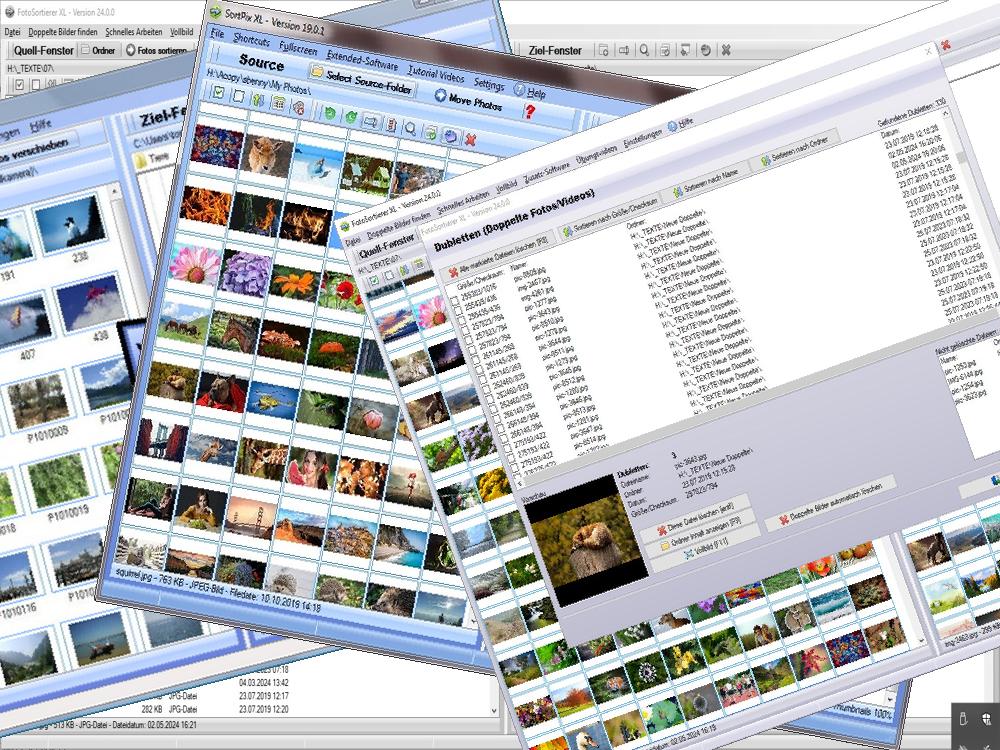 Programm Fotos sortieren
