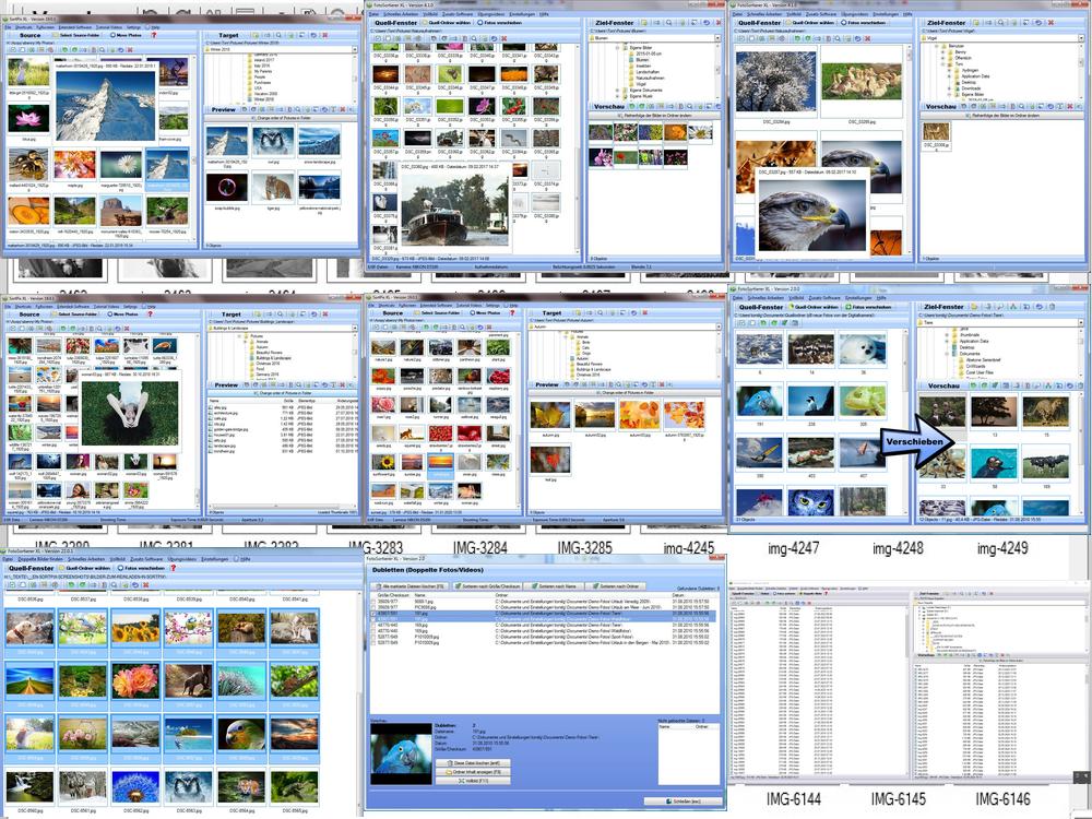 Bilder sortieren Programm