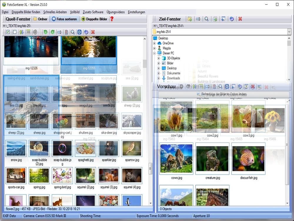 Programm zum Sortieren von Bildern